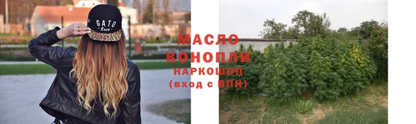 шишки Лагань