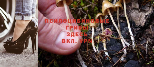 mdma Лиски