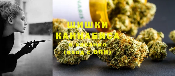 шишки Лагань