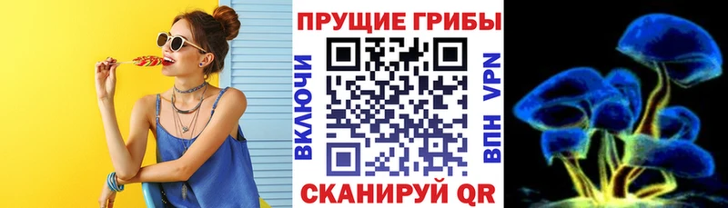 Псилоцибиновые грибы ЛСД  даркнет как зайти  Нововоронеж  mega ССЫЛКА 