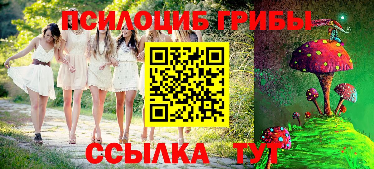 Псилоцибиновые грибы мицелий Нововоронеж