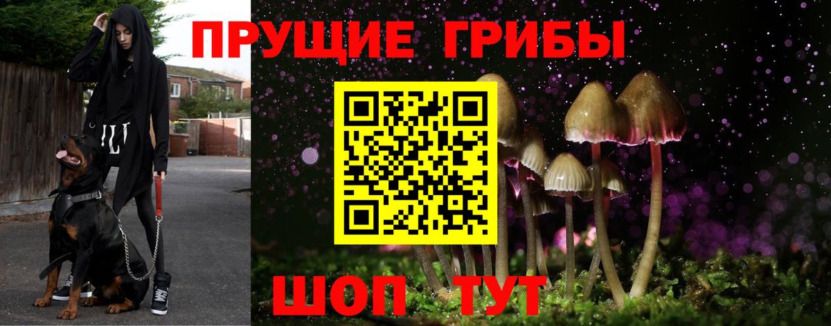 Галлюциногенные грибы Cubensis Нововоронеж